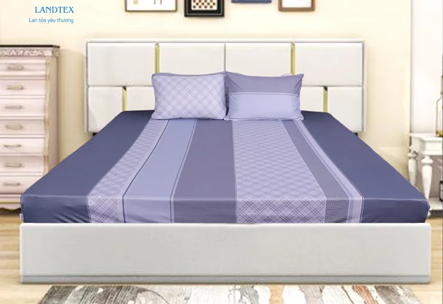 Xu hướng phối màu ga thun bọc nệm giúp phòng ngủ đẹp hiện đại và ấm cúng